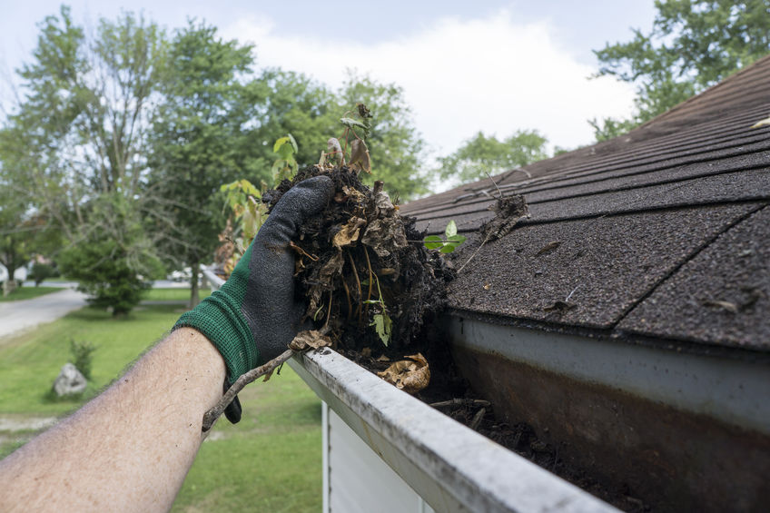 Hand removing leaves and debris from a residential roof gutter during maintenance