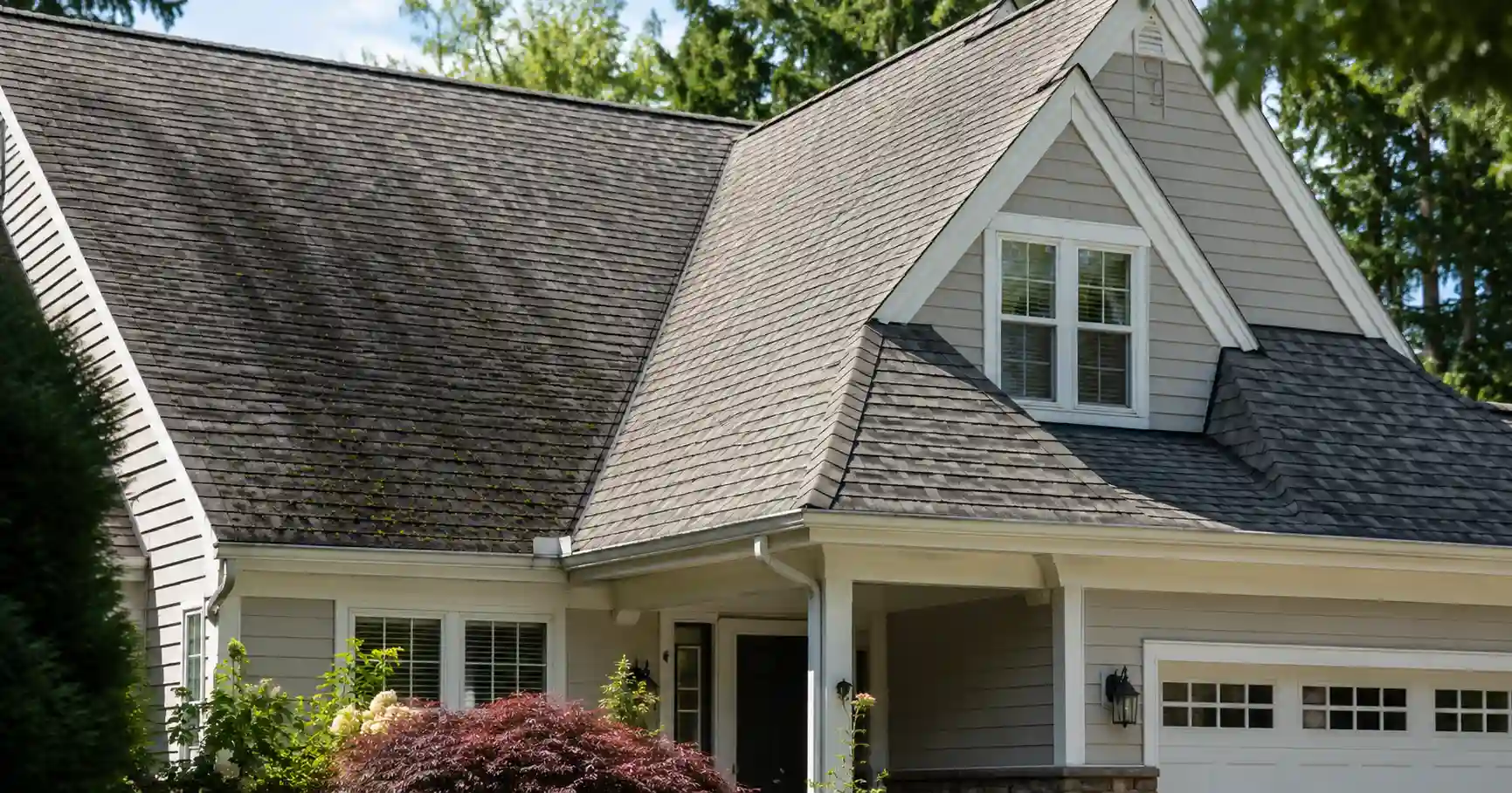 Asphalt shingle roof with moss and dark streaks that may look serious but should be inspected before assuming roof replacement is needed.